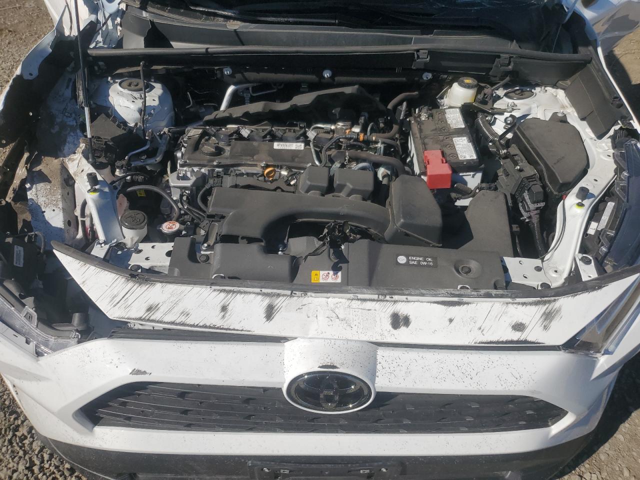 VIN 2T3W1RFV5RW304903 2024 TOYOTA RAV4 no.12