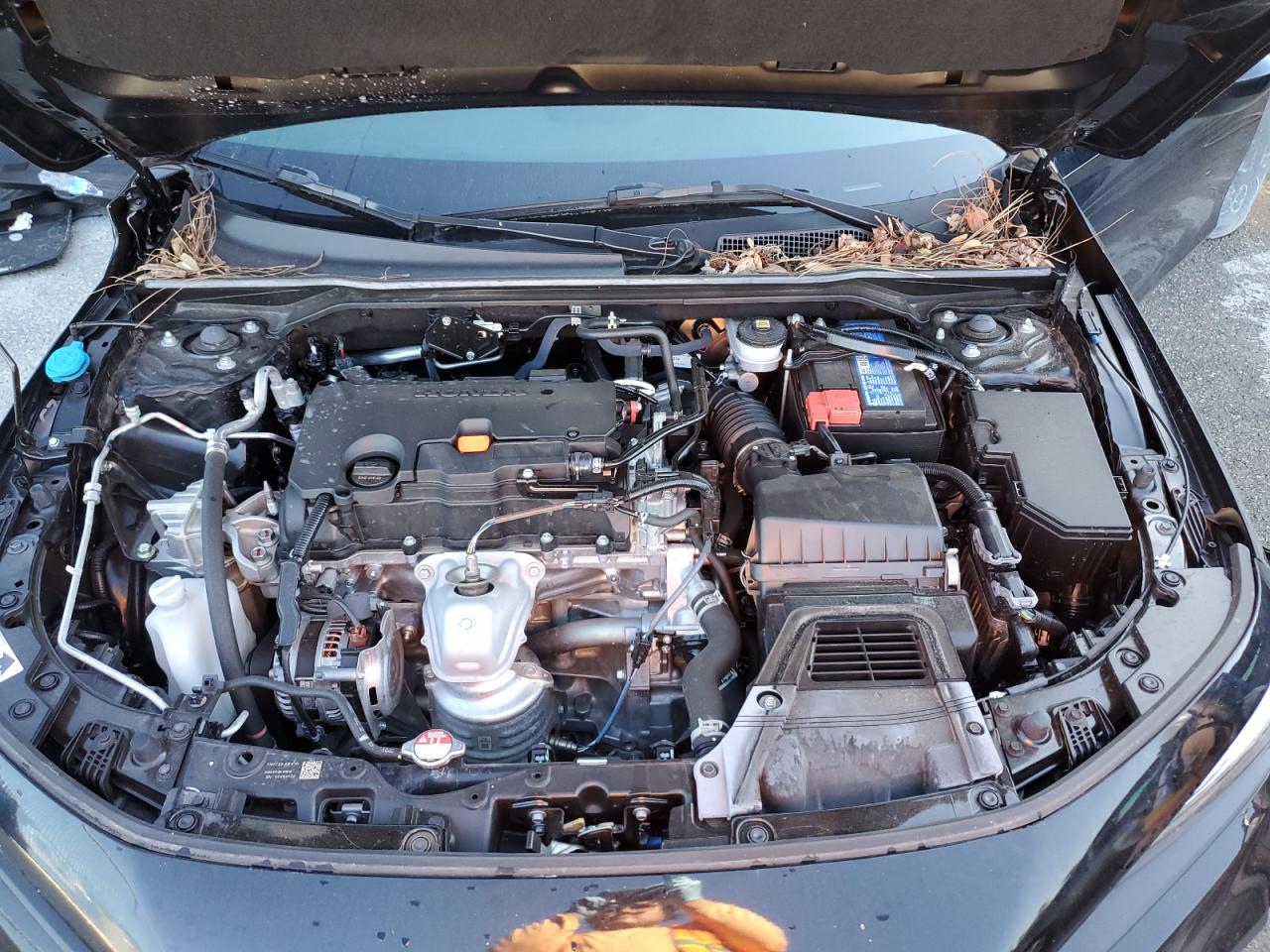 2024 Honda Civic - Image 11