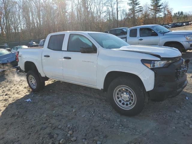  CHEVROLET COLORADO 2024 White