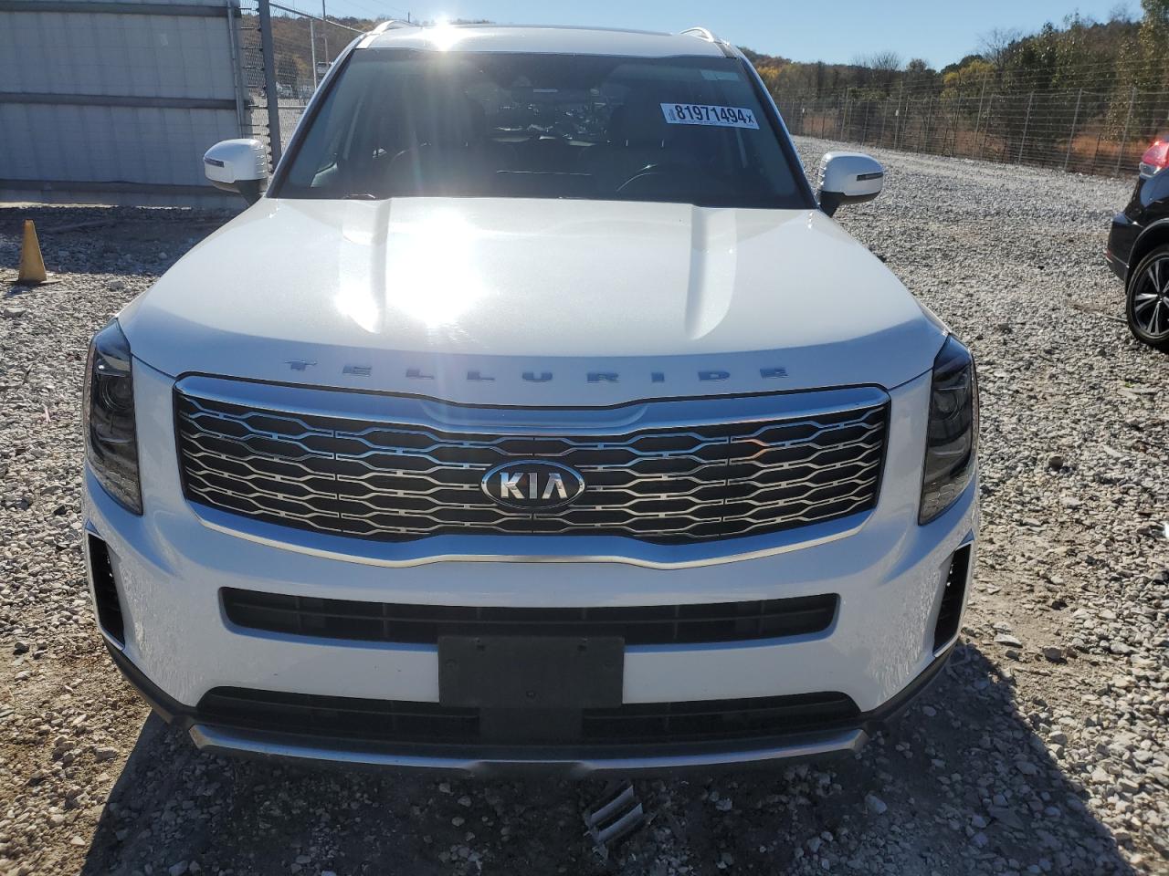 2020 Kia Telluride Ex VIN: 5XYP34HC9LG078531 Lot: 81971494