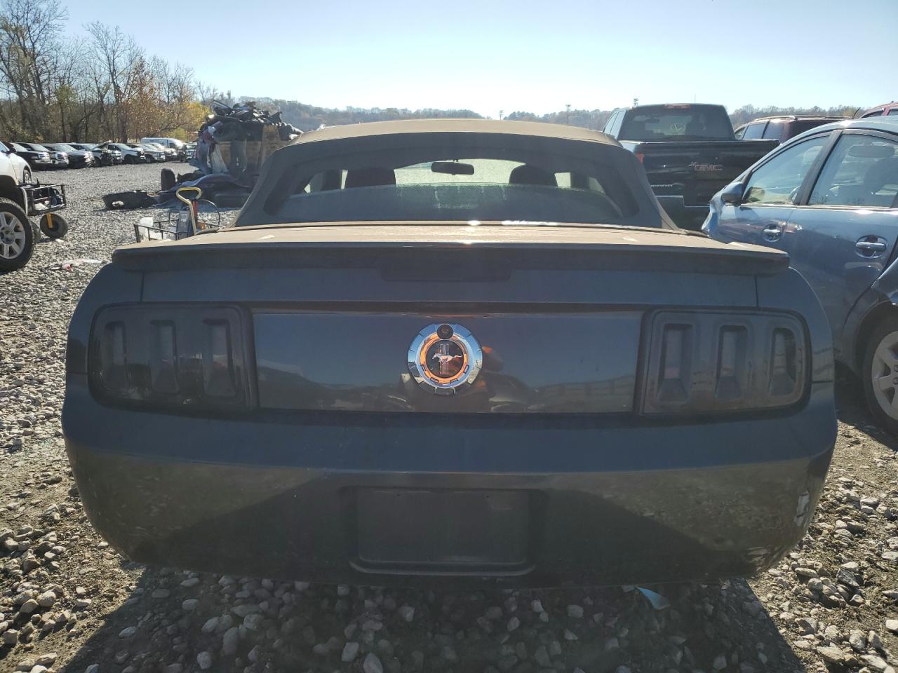 2008 Ford Mustang VIN: 1ZVHT84N085138101 Lot: 80153894