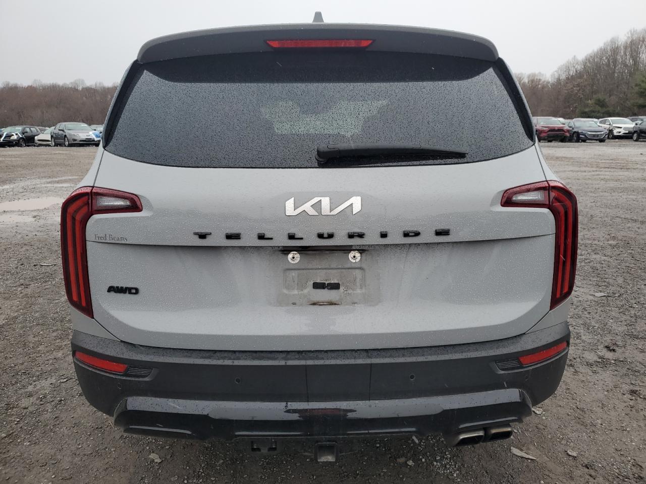 2022 Kia Telluride Sx VIN: 5XYP5DHC8NG249623 Lot: 81993664