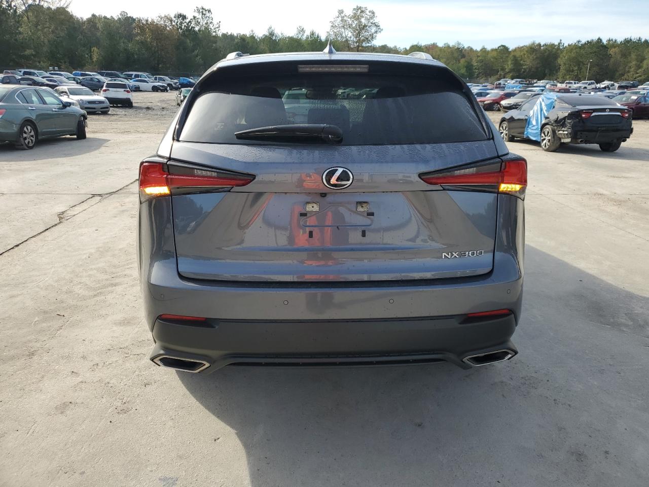 2020 Lexus NX - Image 6