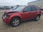 2012 Ford Escape Xlt na sprzedaż w Appleton, WI - Front End