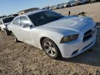 2013 Dodge Charger Se за продажба в San Antonio, TX - Rear End