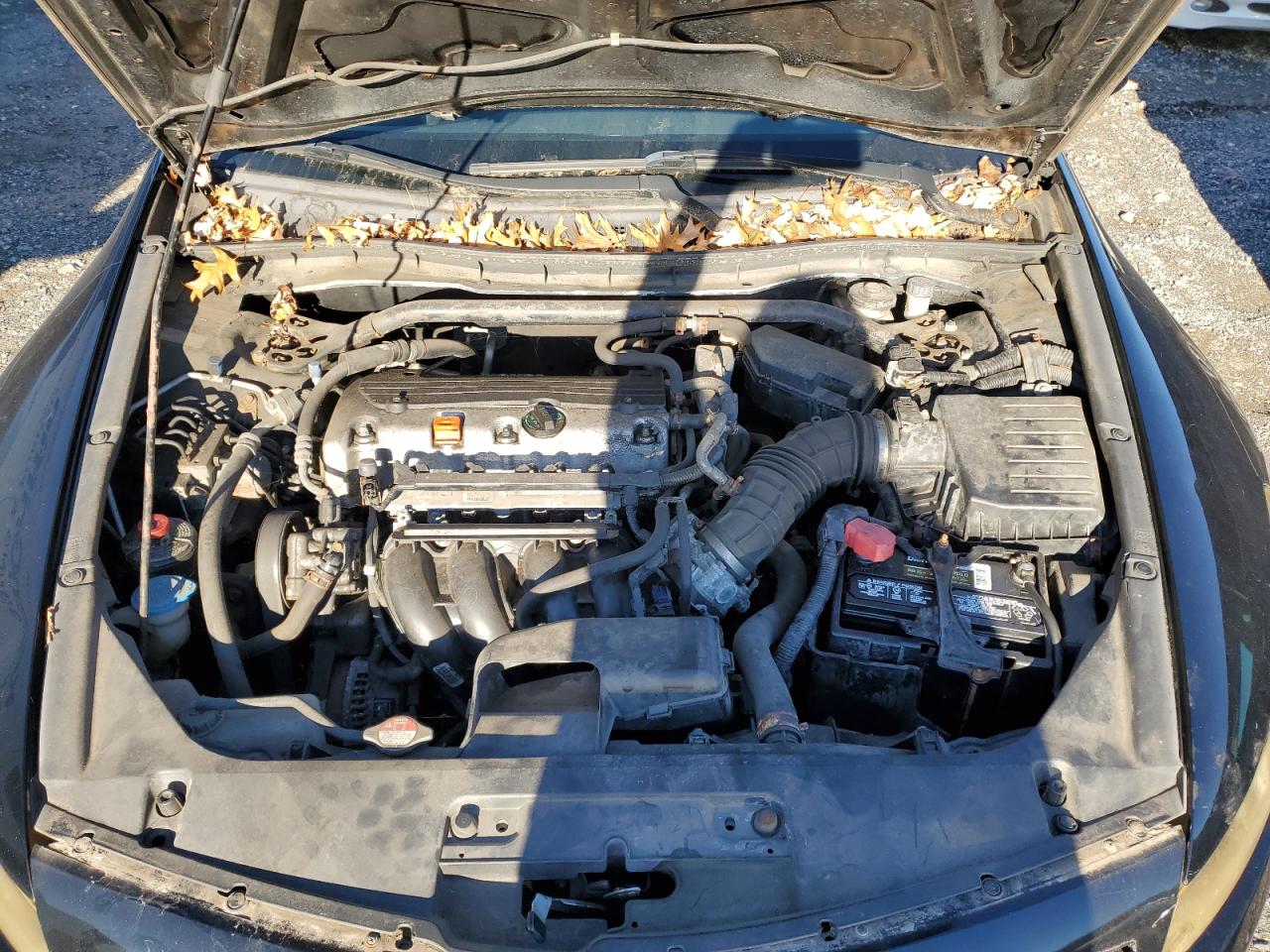2010 Honda Accord - Image 11
