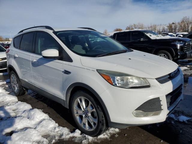  FORD ESCAPE 2014 White