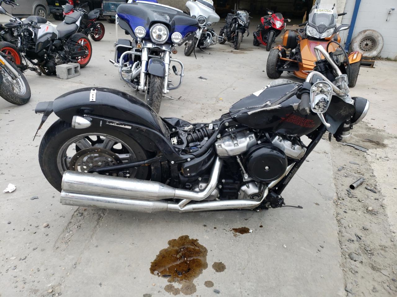 2024 Harley-Davidson Fxst იყიდება Fredericksburg-ში, VA - All Over
