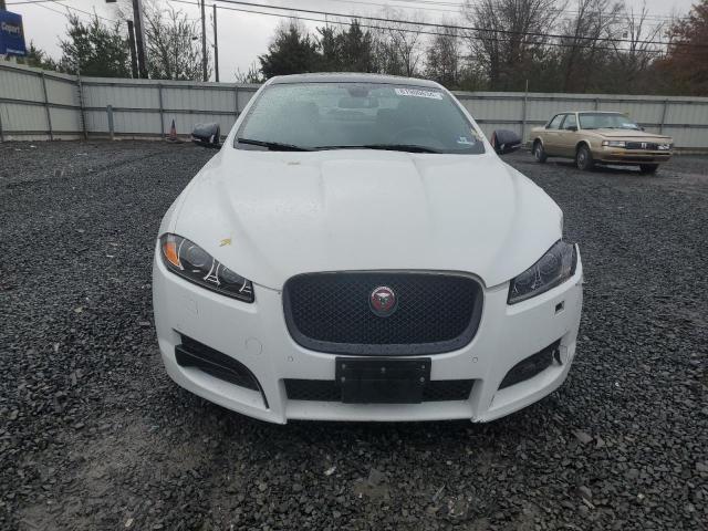  JAGUAR XF 2015 Белы