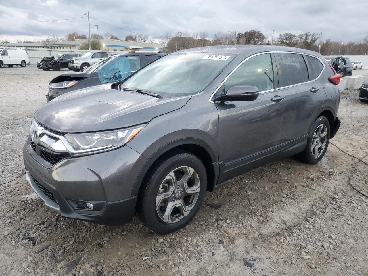 2019 Honda Cr-V Exl за продажба в Louisville, KY - Rear End