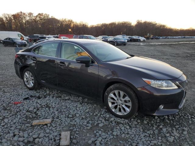  LEXUS ES300 2013 Brown