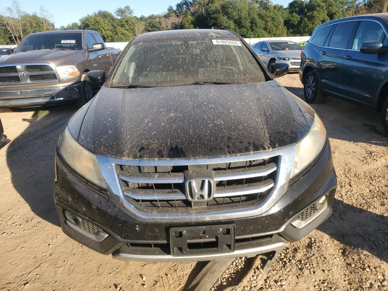 2015 Honda Crosstour - Image 5