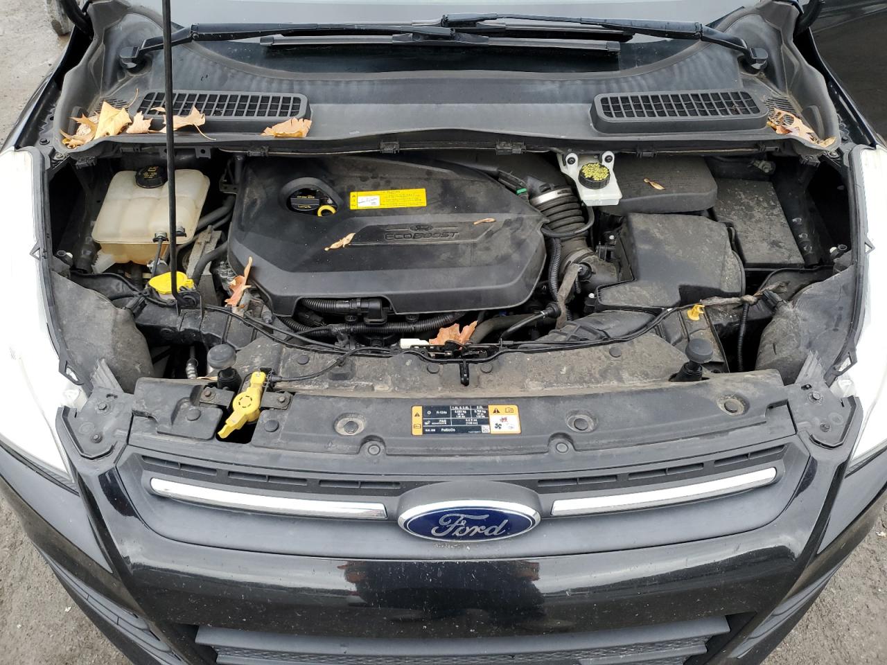 2015 Ford Escape Se VIN: 1FMCU0GX4FUB02113 Lot: 79625924