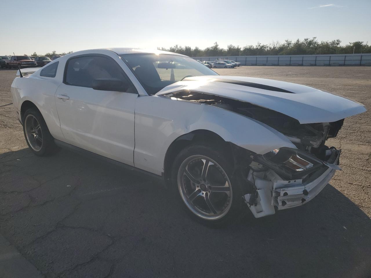 2010 Ford Mustang VIN: 1ZVBP8AN4A5176841 Lot: 79103074