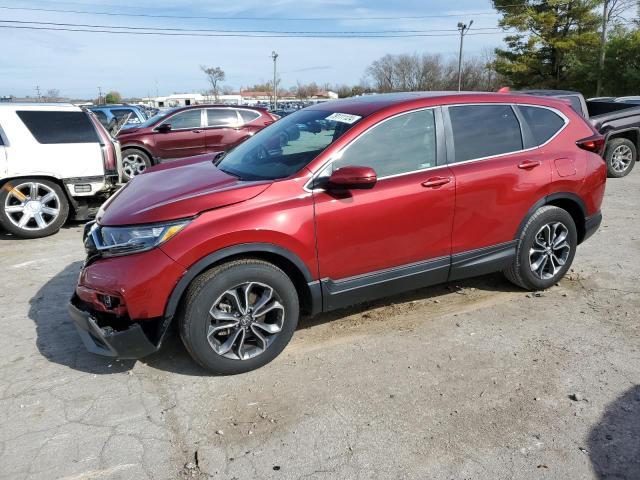  HONDA CRV 2021 Maroon