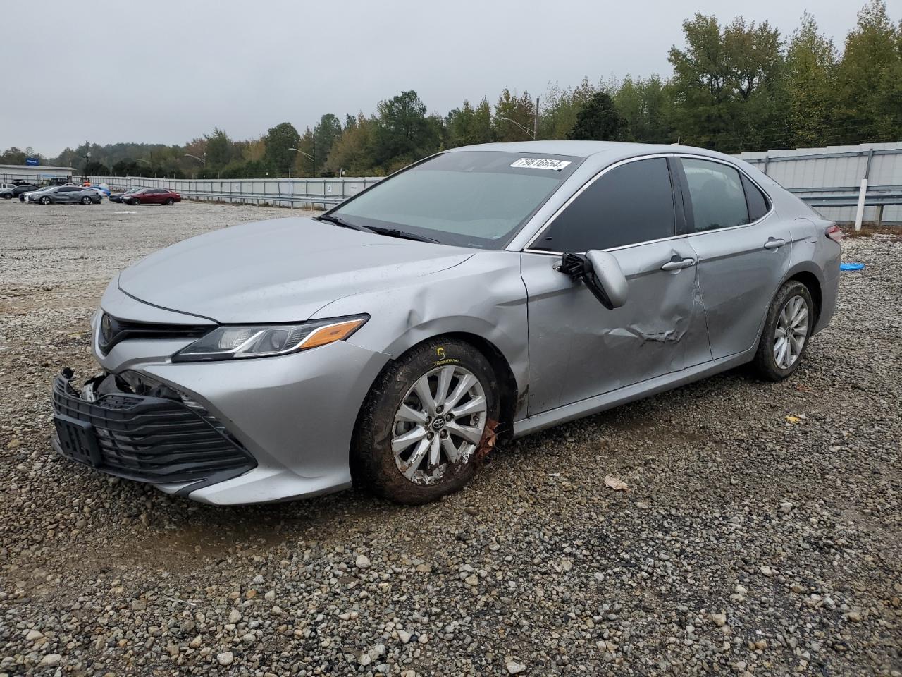 2019 Toyota Camry L VIN: 4T1B11HK4KU753572 Lot: 79816654