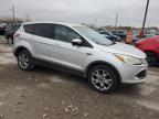 2013 Ford Escape Sel na sprzedaż w Indianapolis, IN - Front End