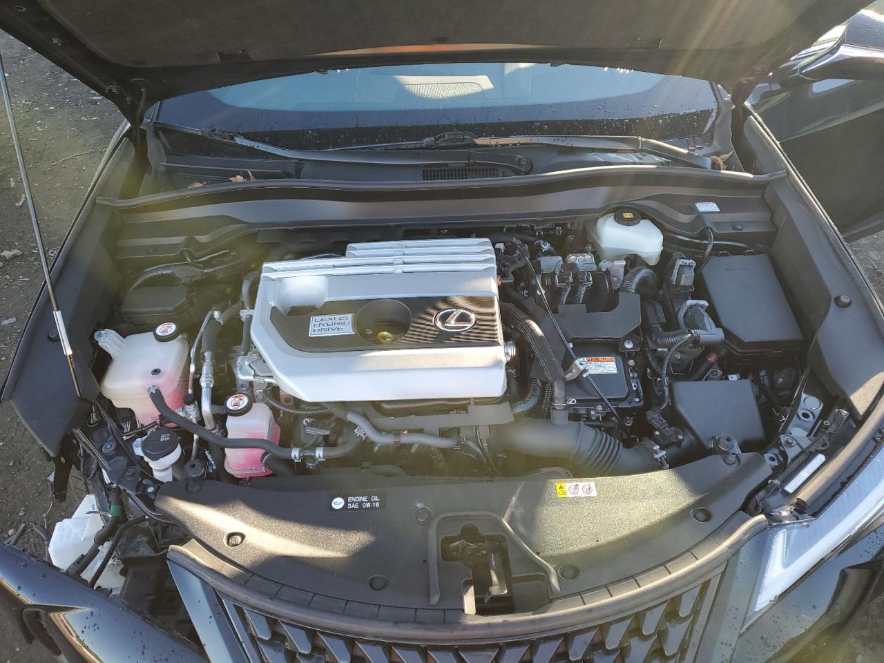 2019 Lexus UX - Image 11