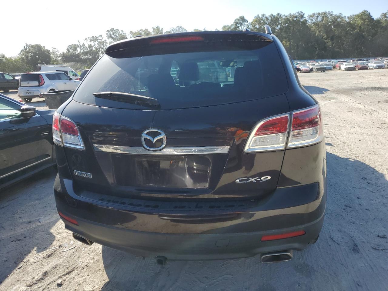 2009 Mazda Cx-9 VIN: JM3TB28A490180345 Lot: 77949834