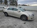2013 Cadillac Xts Luxury Collection for Sale in Albany, NY - Rear End