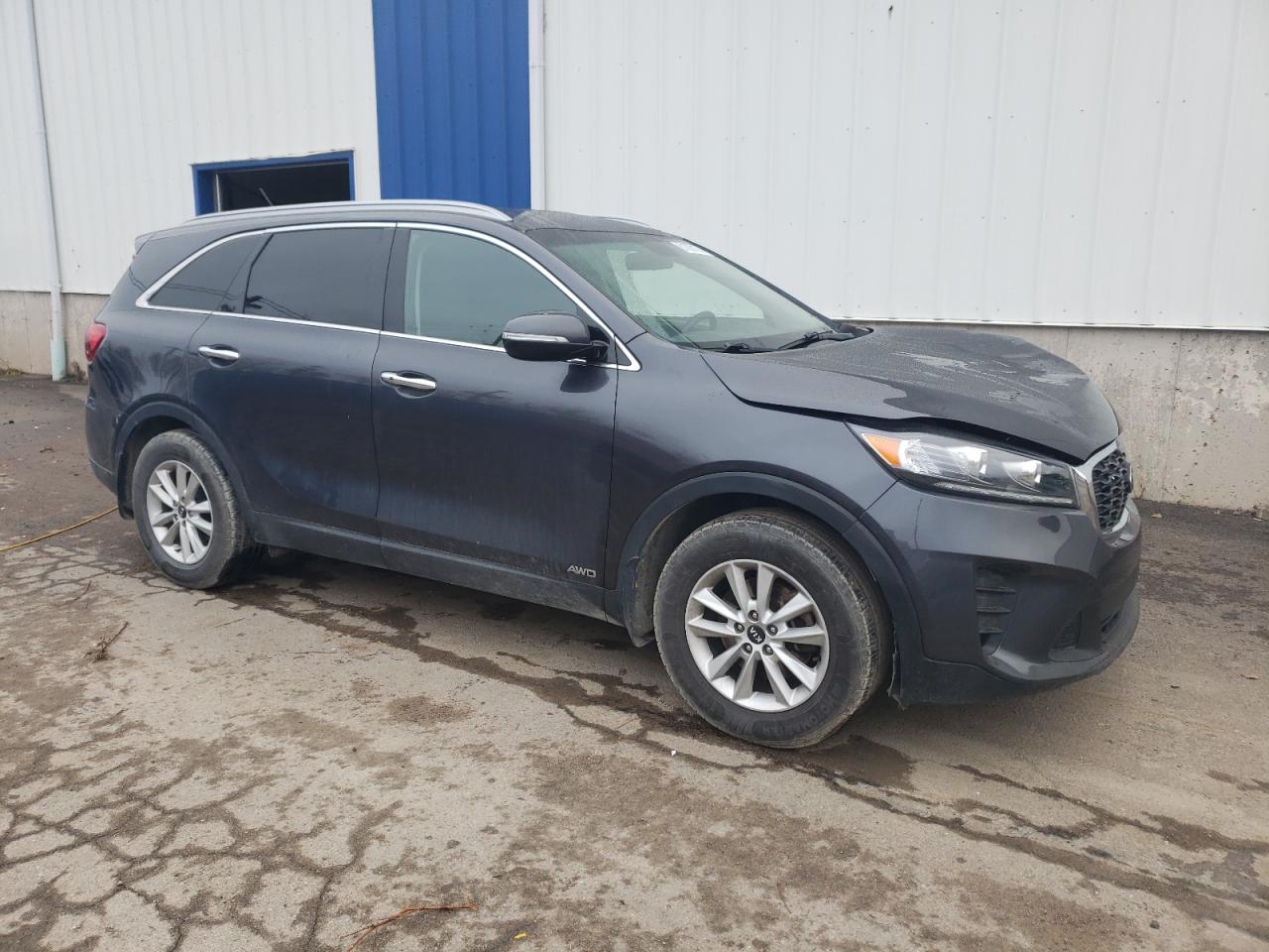 2019 Kia Sorento L VIN: 5XYPGDA30KG517936 Lot: 81098174