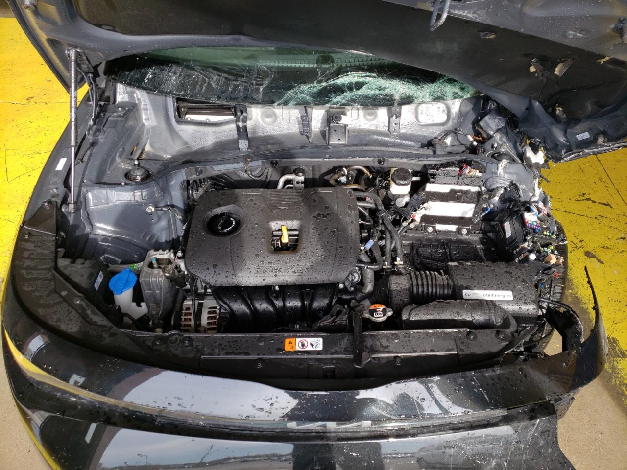 KNDJ23AU3S7923827 - 2025 Kia SOUL LX - #80512224