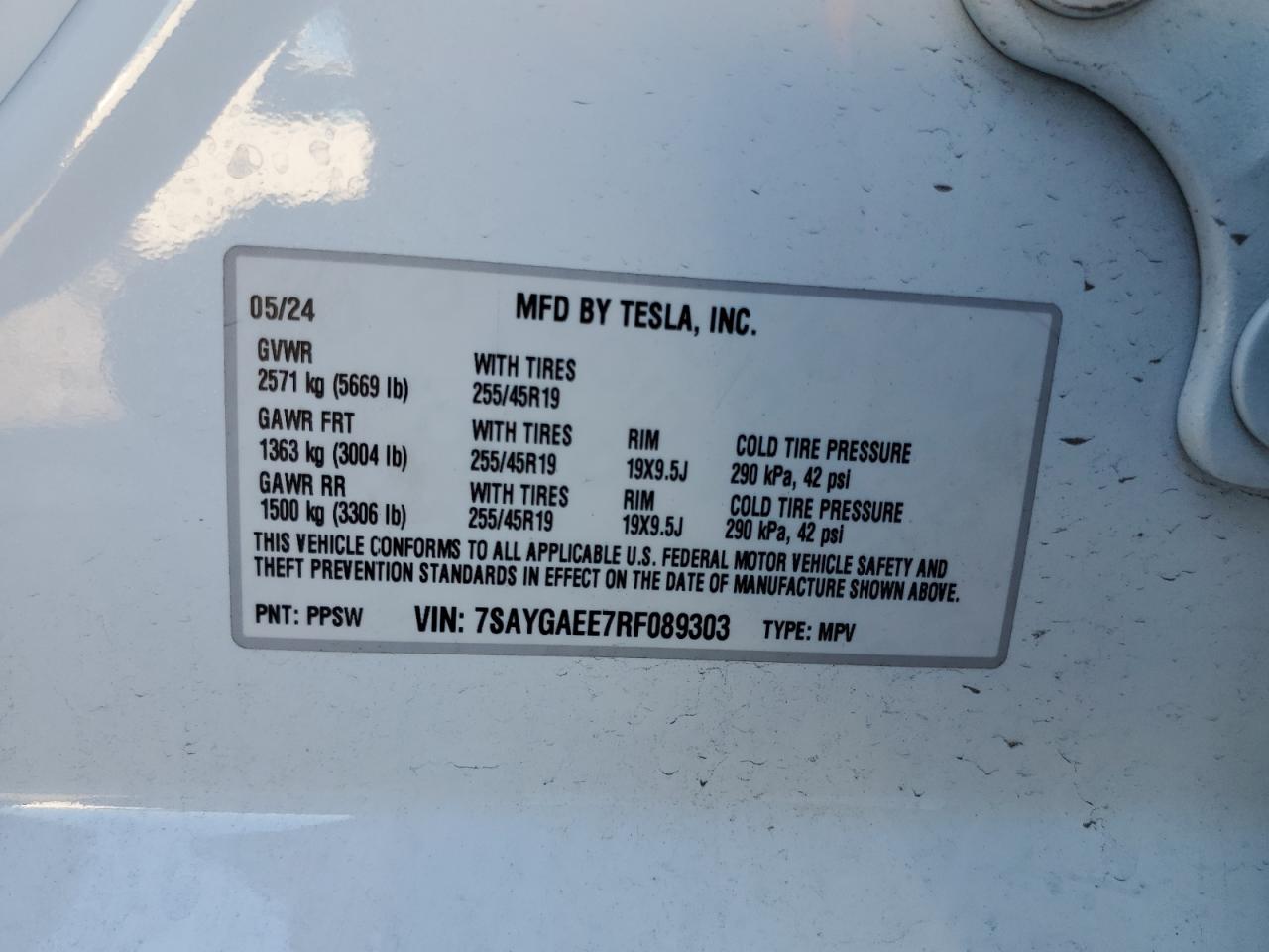 2024 Tesla Model Y VIN: 7SAYGAEE7RF089303 Lot: 81141374