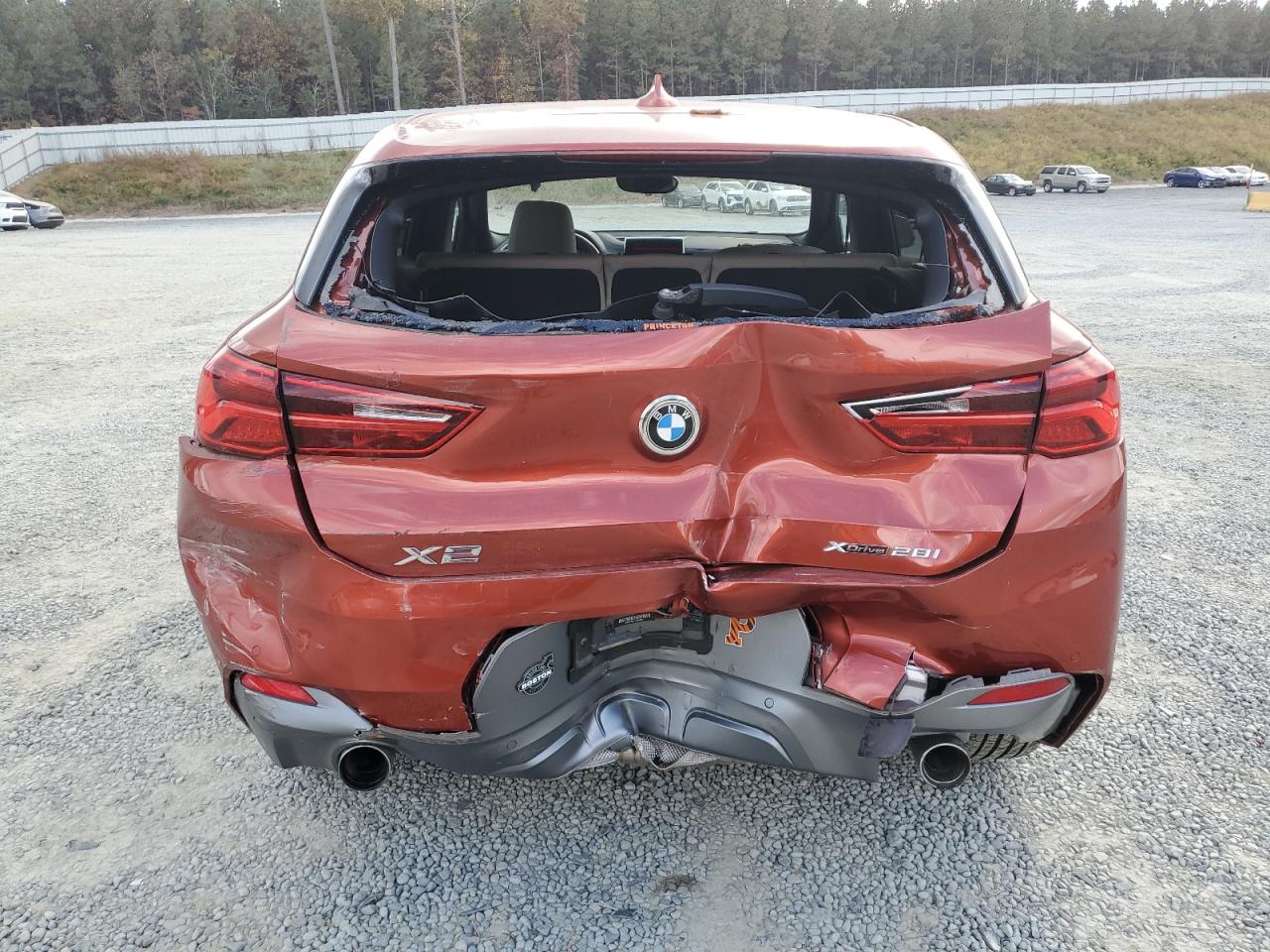 2020 BMW X2 xDrive28I VIN: WBXYJ1C01L5N94884 Lot: 79515114