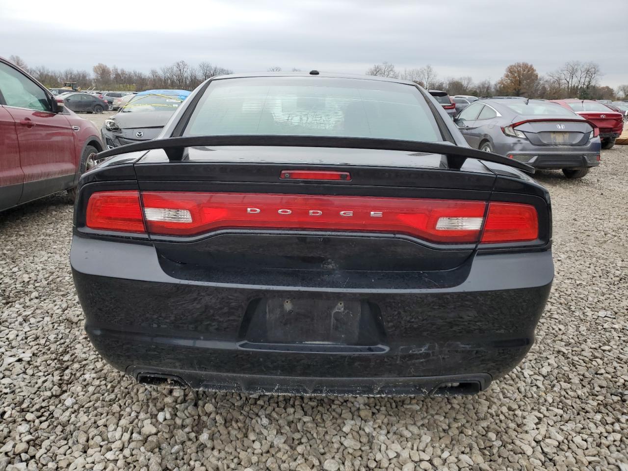 VIN 2C3CDXCT7EH340818 2014 DODGE CHARGER no.6