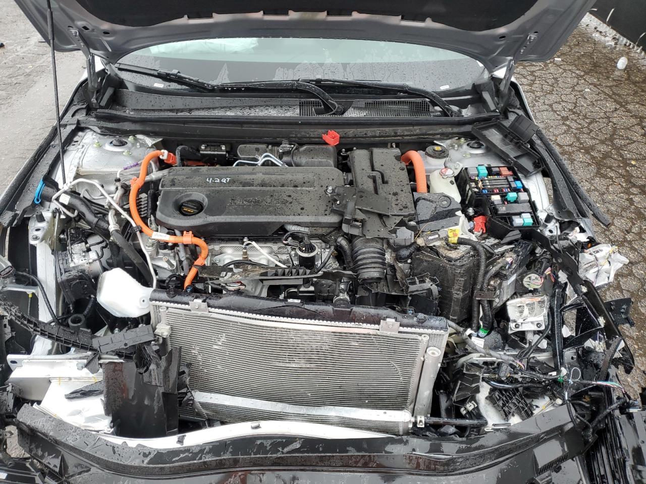 2024 Honda Accord - Image 11