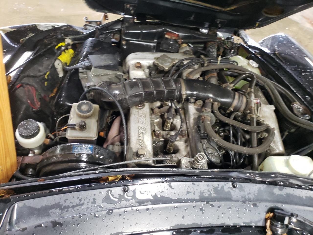 1985 Alfa Romeo Veloce 2000 Spider VIN: ZARBA541XF1023560 Lot: 80844644
