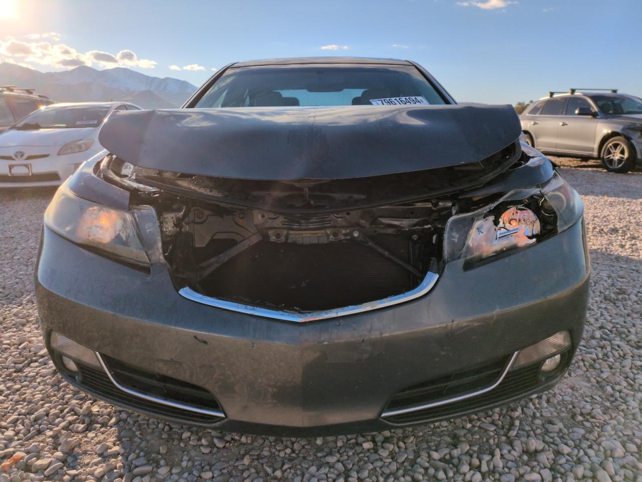 VIN 19UUA8F22DA013615 2013 ACURA TL no.5