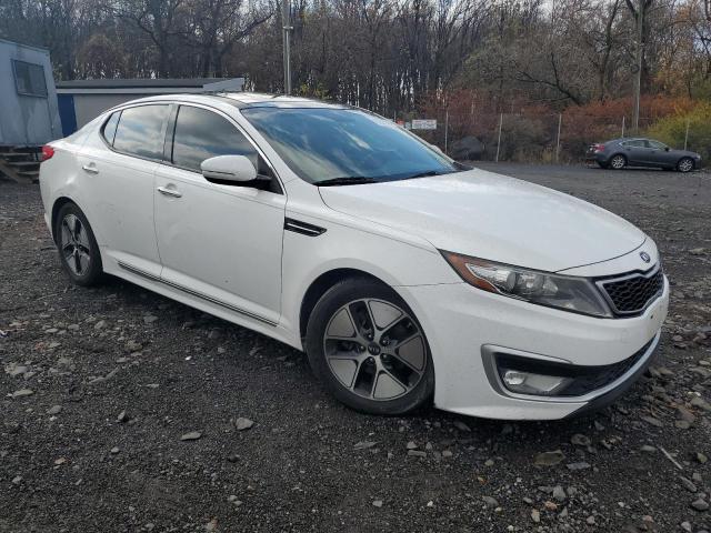  KIA OPTIMA 2013 Белы