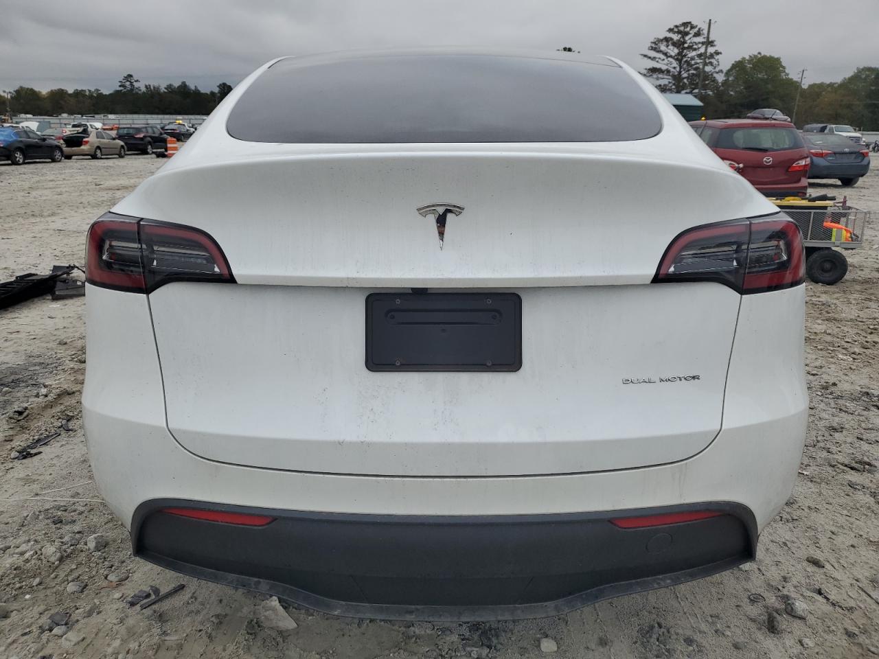 2023 Tesla Model Y VIN: 7SAYGDEE8PA158320 Lot: 79803044