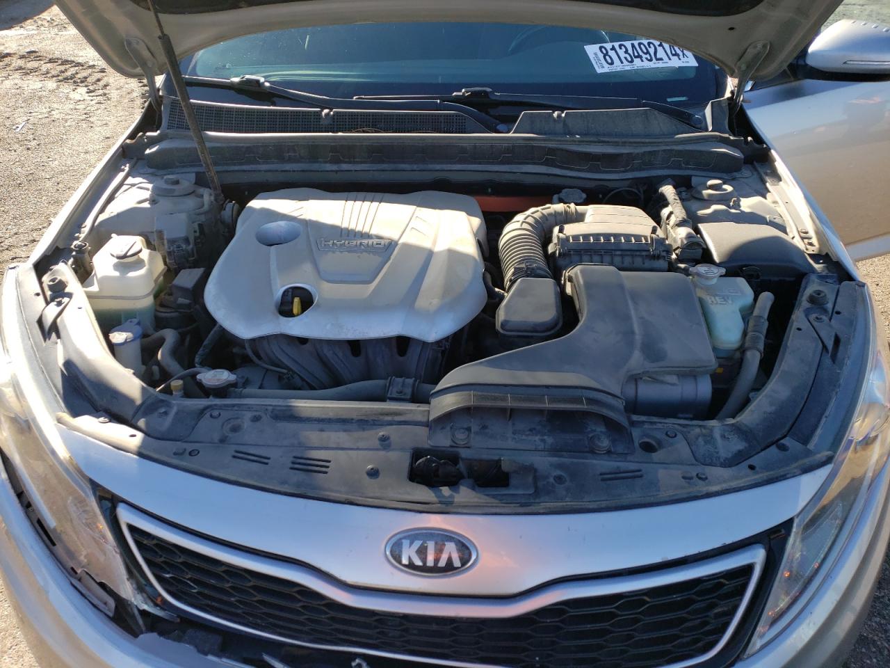 2012 Kia Optima Hybrid VIN: KNAGM4AD6C5024206 Lot: 81349214