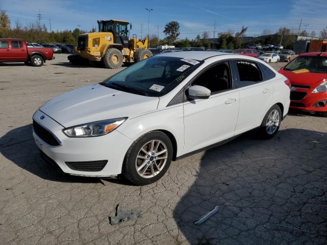 Седаны FORD FOCUS 2016 Белы