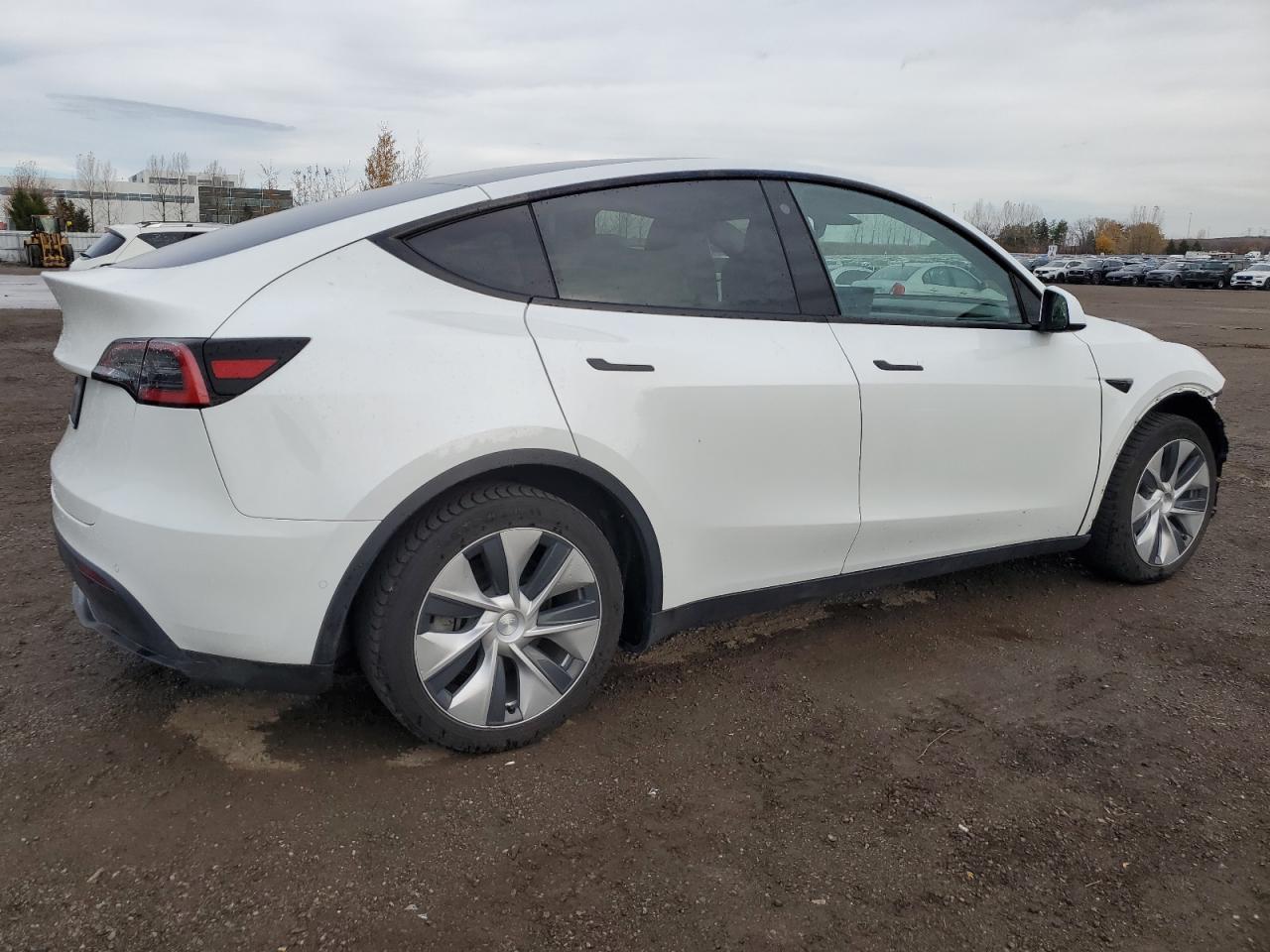 2021 Tesla Model Y VIN: 5YJYGDED3MF119332 Lot: 79127424