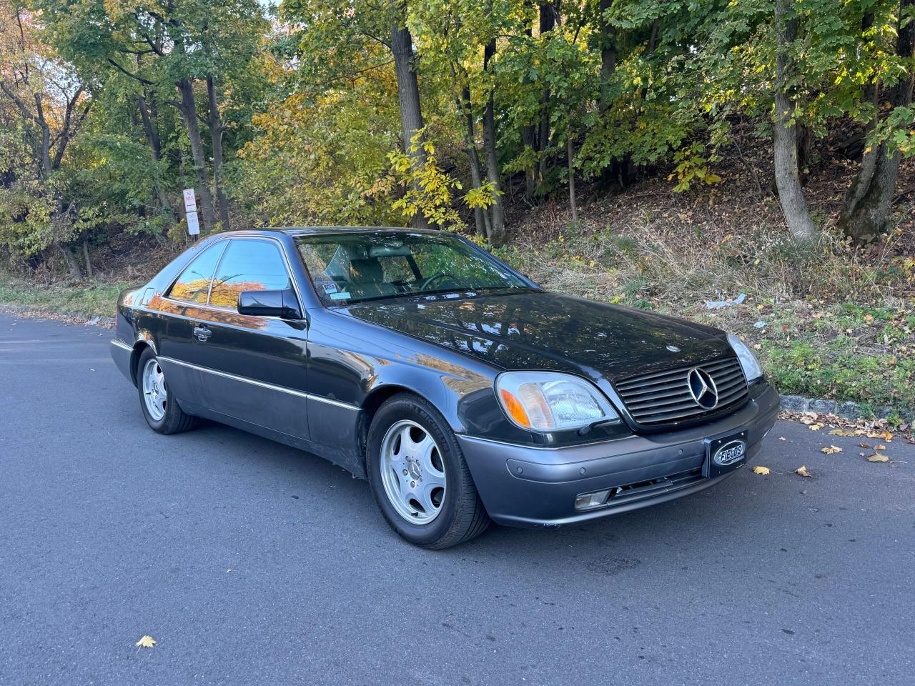 1994 Mercedes-Benz S-klasse - Image 1