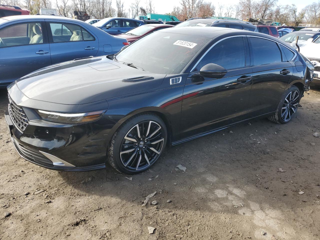 2024 Honda Accord - Image 1