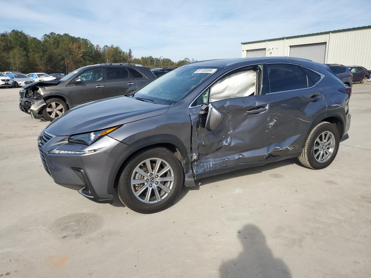 2020 Lexus NX - Image 1
