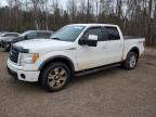 2010 Ford F150 Supercrew للبيع في Cookstown، ON - Normal Wear