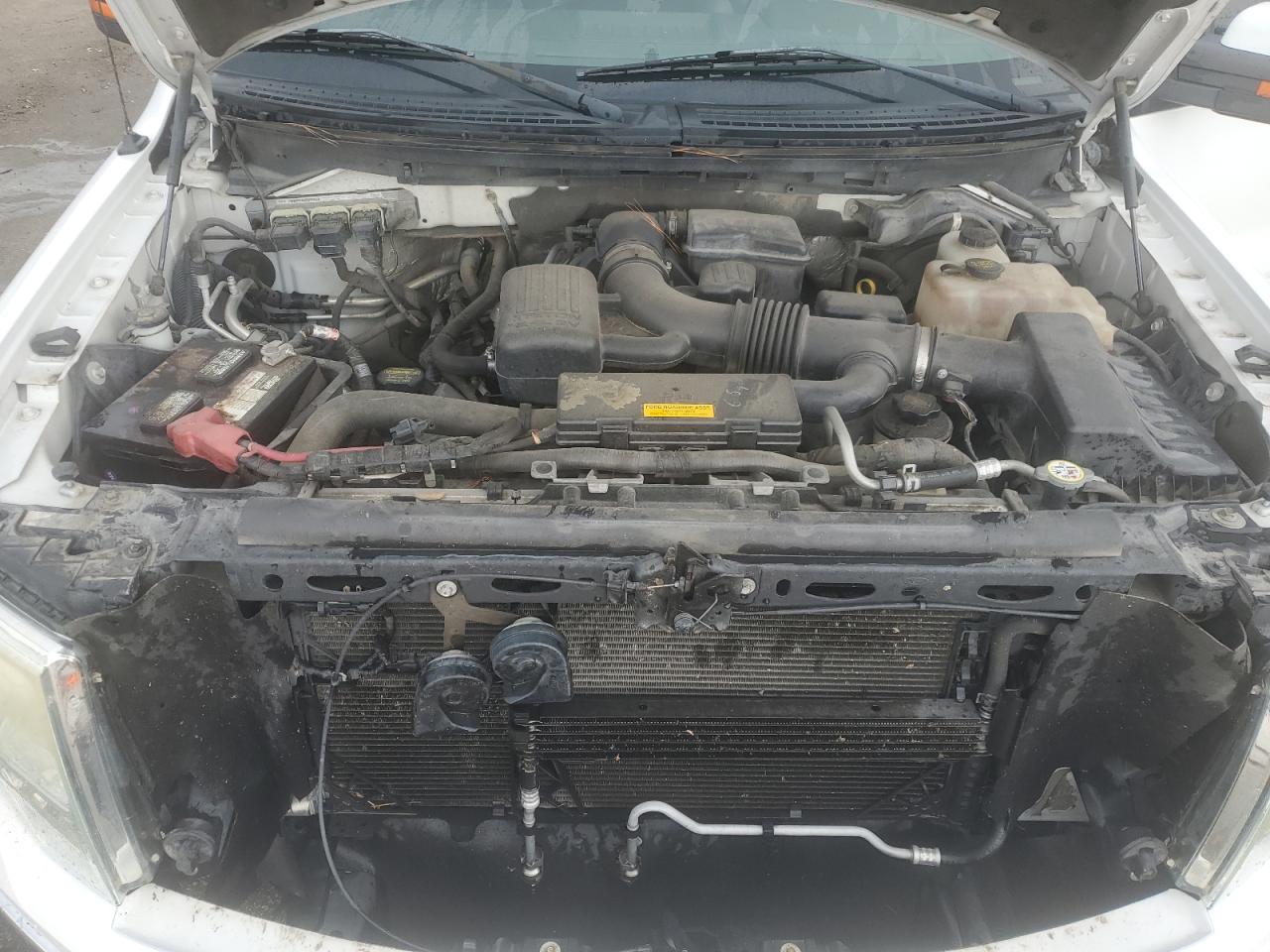 2010 Ford F-150 - Image 11