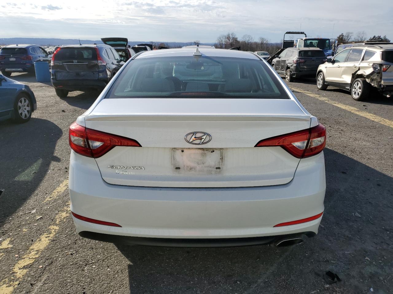 2015 Hyundai Sonata Se VIN: 5NPE24AF1FH147806 Lot: 81116894