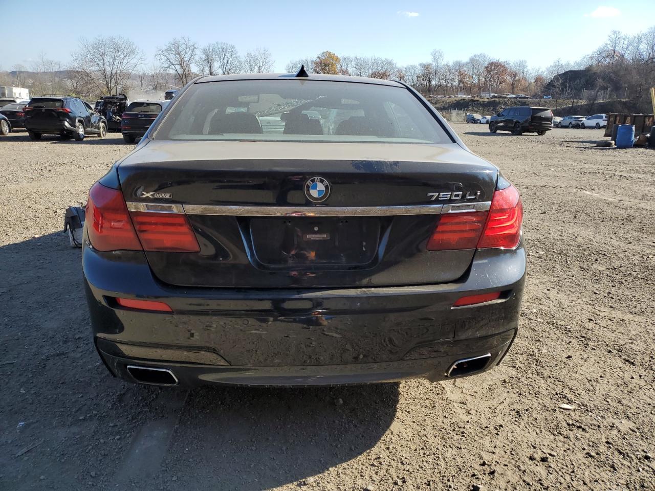 VIN WBAYF8C59DD140924 2013 BMW 7 SERIES no.6