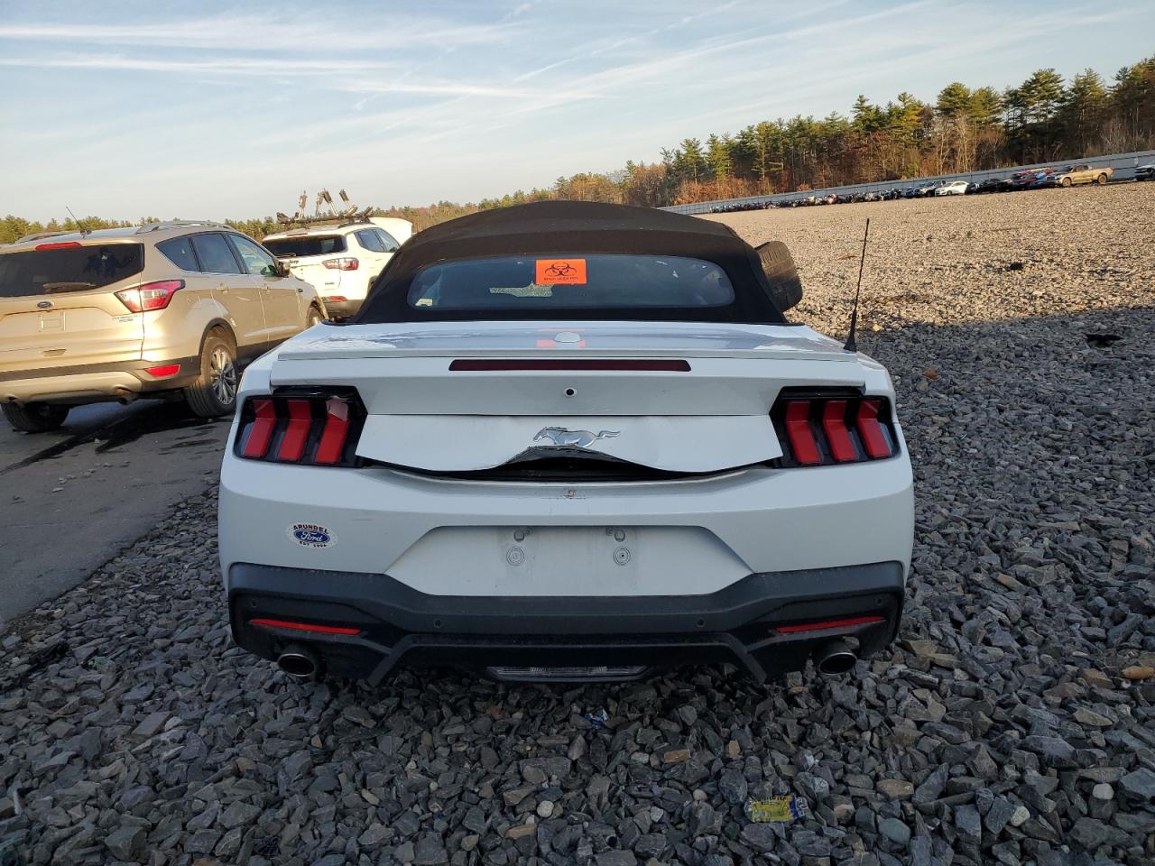 2024 Ford Mustang VIN: 1FAGP8UH4R5129941 Lot: 78790244