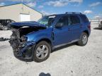 2009 Ford Escape Xlt na sprzedaż w Lawrenceburg, KY - Front End