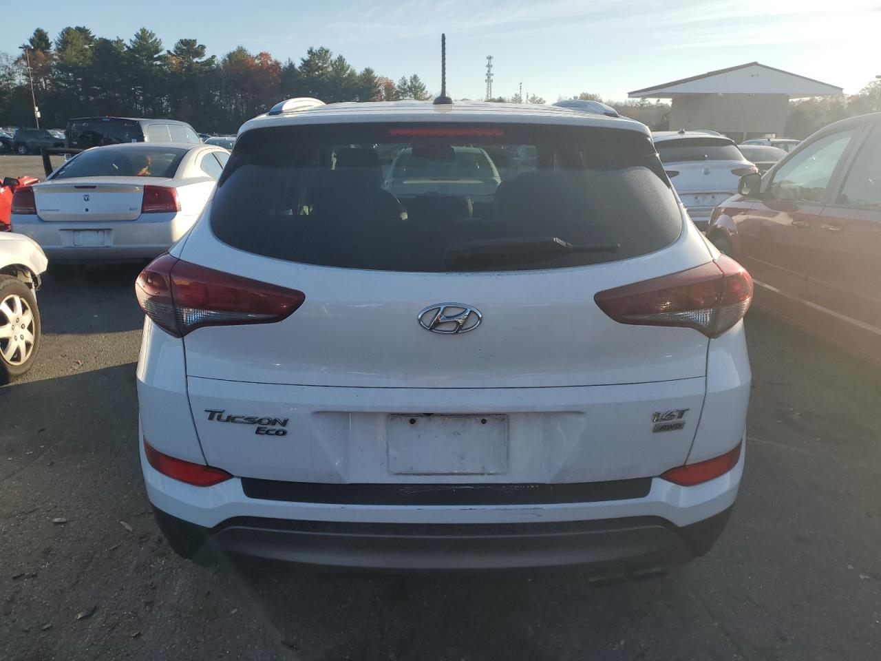 2016 Hyundai Tucson Limited VIN: KM8J3CA23GU194129 Lot: 79609984