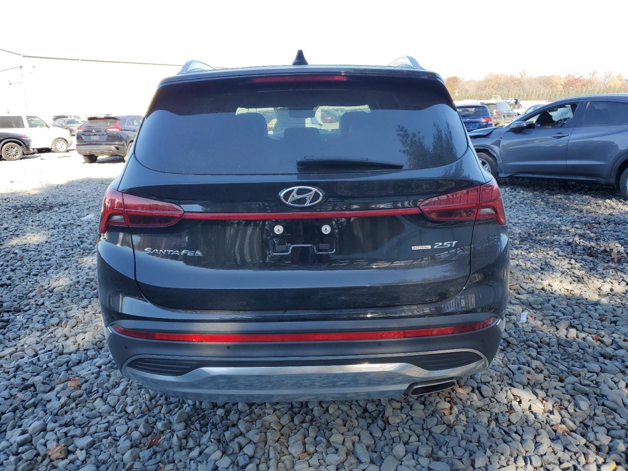 2022 Hyundai Santa Fe Limited VIN: 5NMS4DAL5NH391697 Lot: 77602154