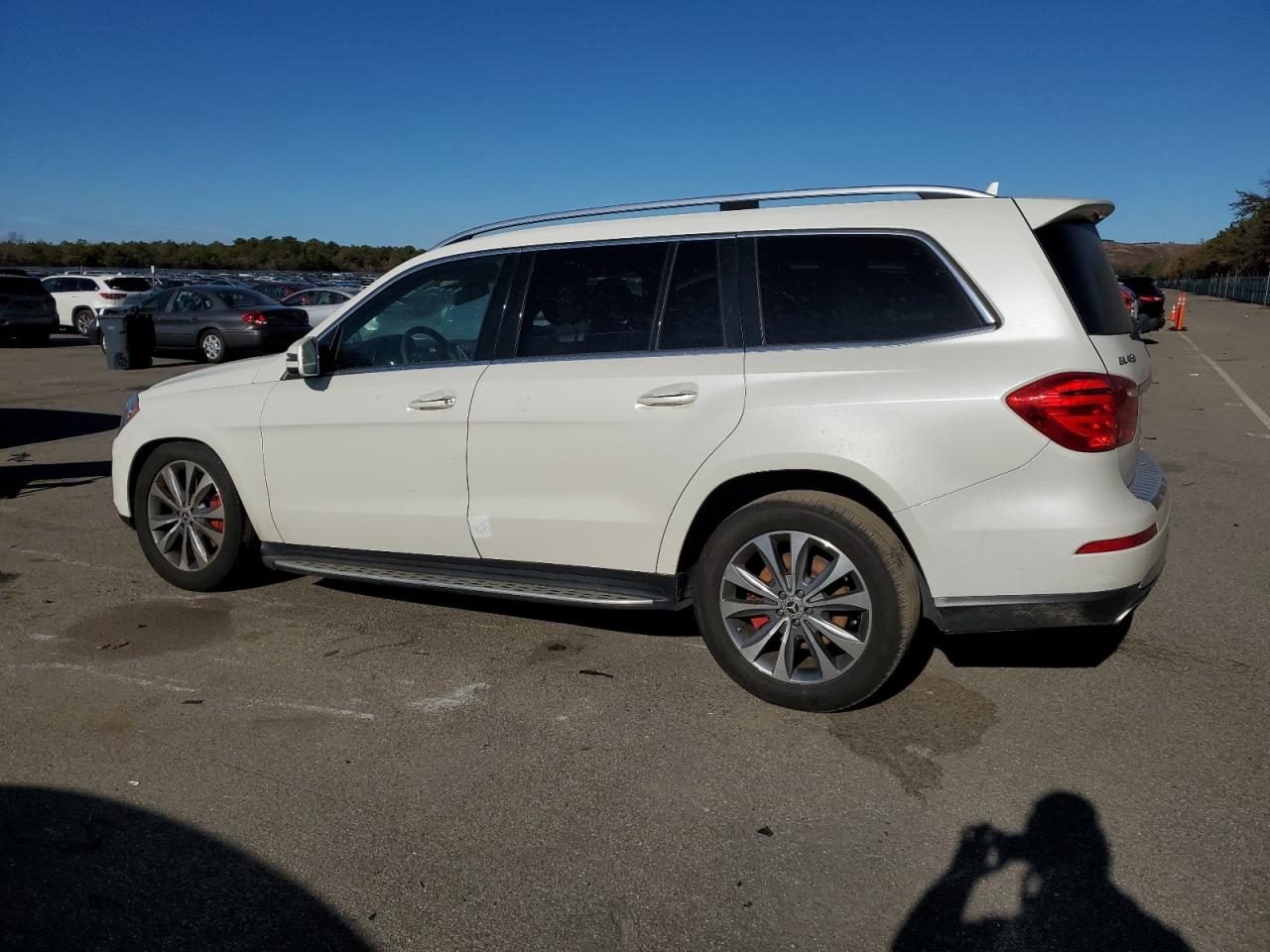 VIN 4JGDF7CE5DA189756 2013 MERCEDES-BENZ GL-CLASS no.2