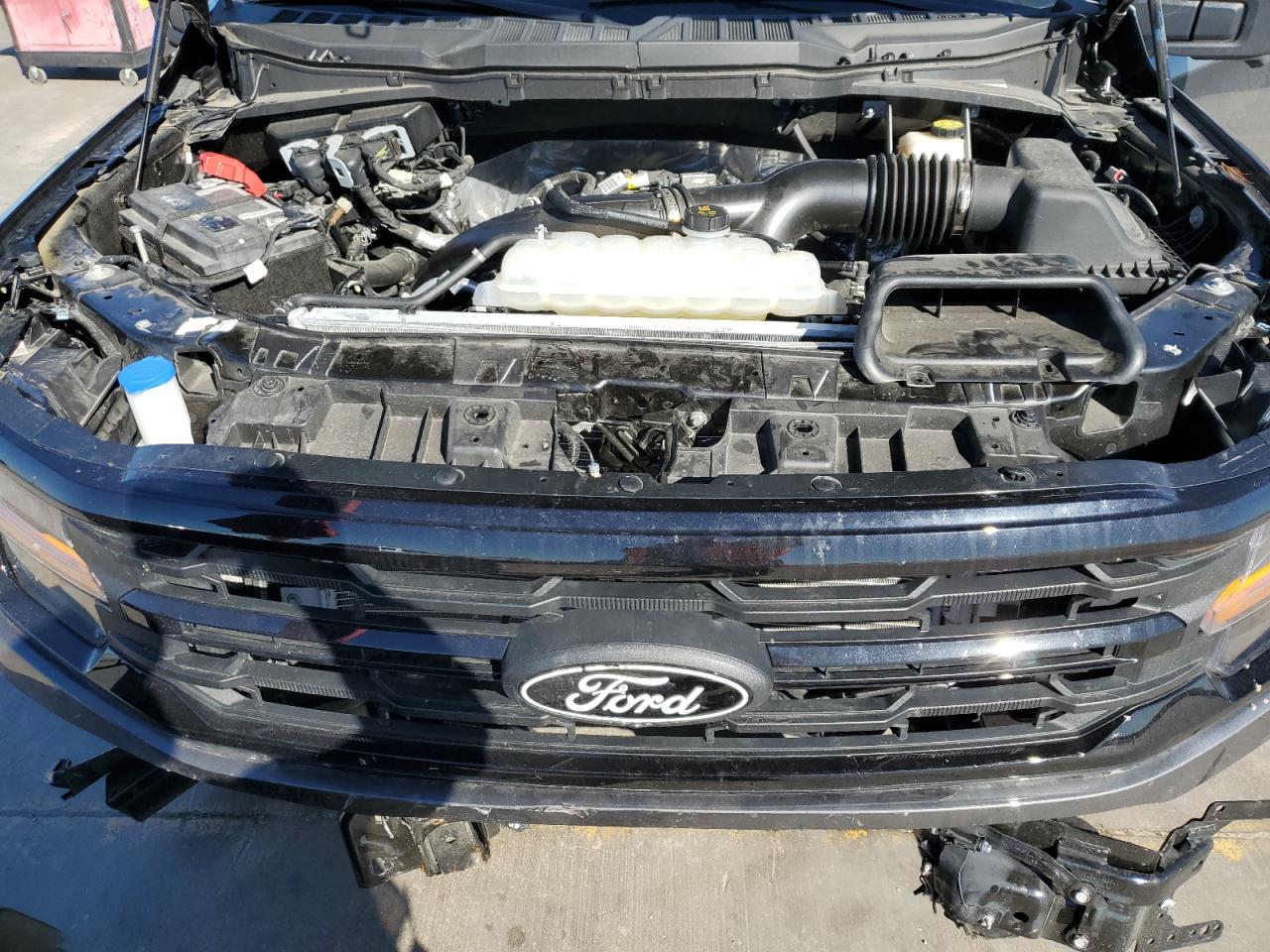 2024 Ford F150 Xlt VIN: 1FTEW3KP3RKD68433 Lot: 80077084